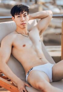 Silver-permillon-(8)