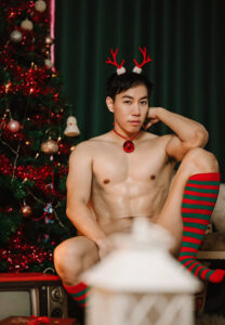 Silver-permillon-(9)